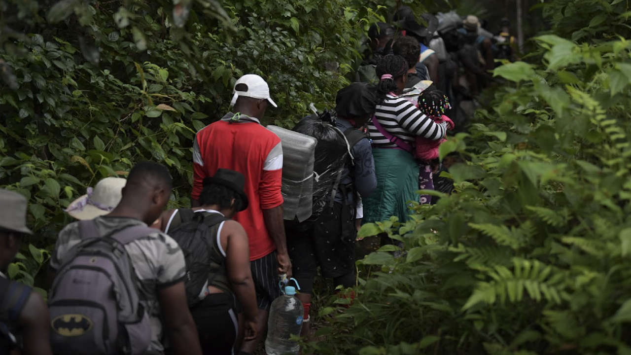 migrantes