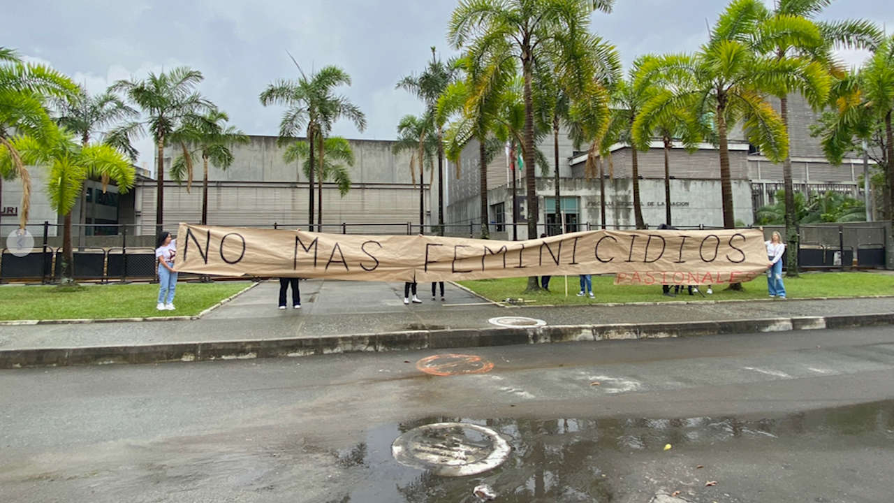 plantón