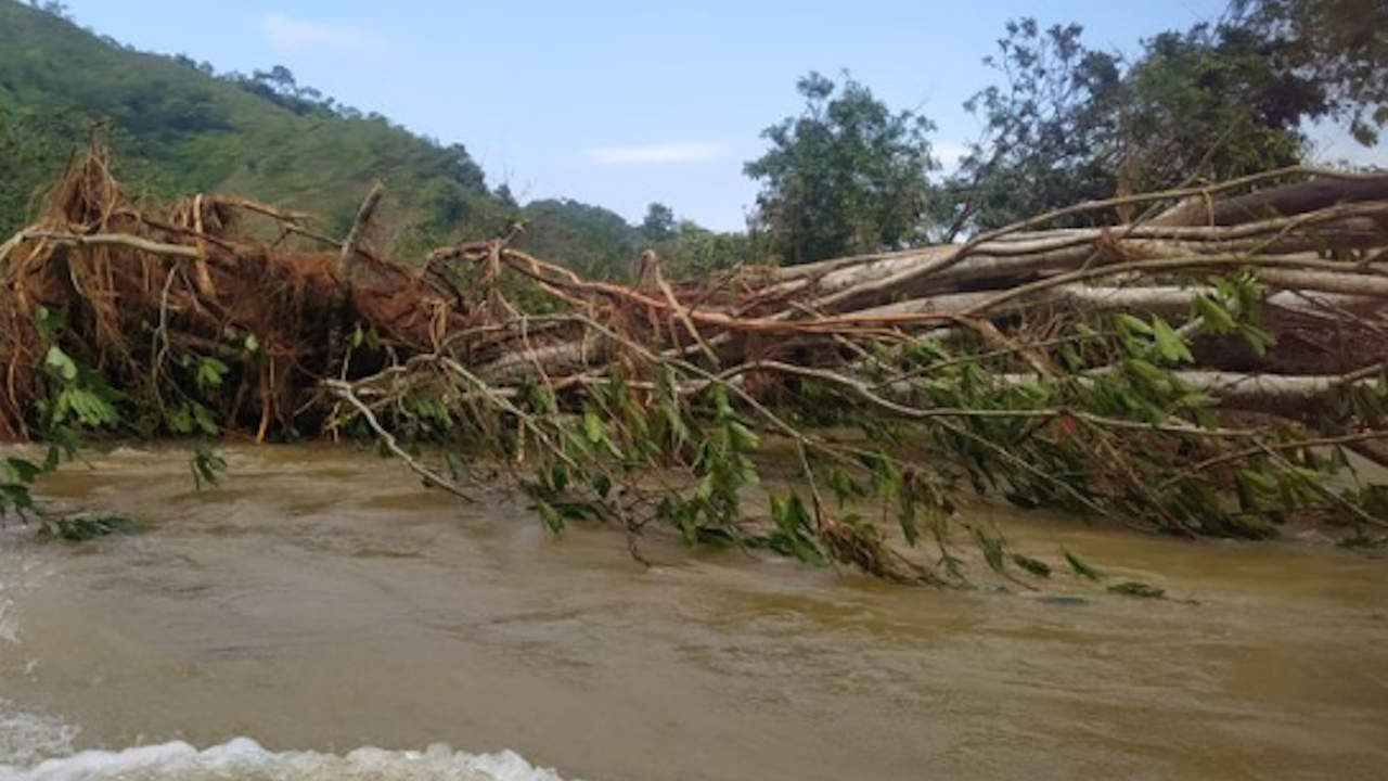 Temporada de lluvias deja una víctima fatal y 120 familias afectadas en El Bagre damnificados y un adulto sin vida por lluvias en el Bagre