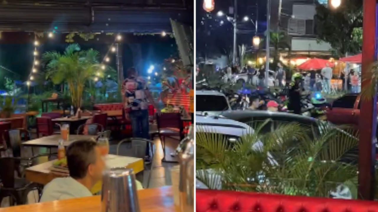 panico en la floresta