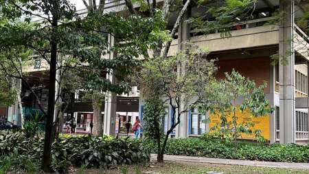 Según investigación, la depresión acelera la demencia La depresión puede acelerar la edad de demencia entre tres a cinco años, según investigación de la Universidad de Antioquía sobre Alzheimer