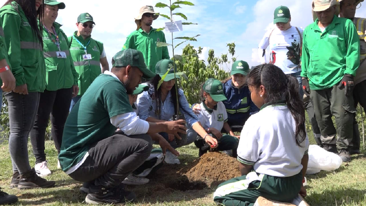 Medellín, certificada como “Ciudad Árbol del Mundo”