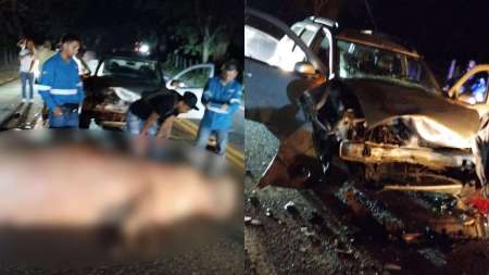 Un hipopótamo perdió la vida tras un accidente de tránsito en Puerto Triunfo HIPOPOTAMOS