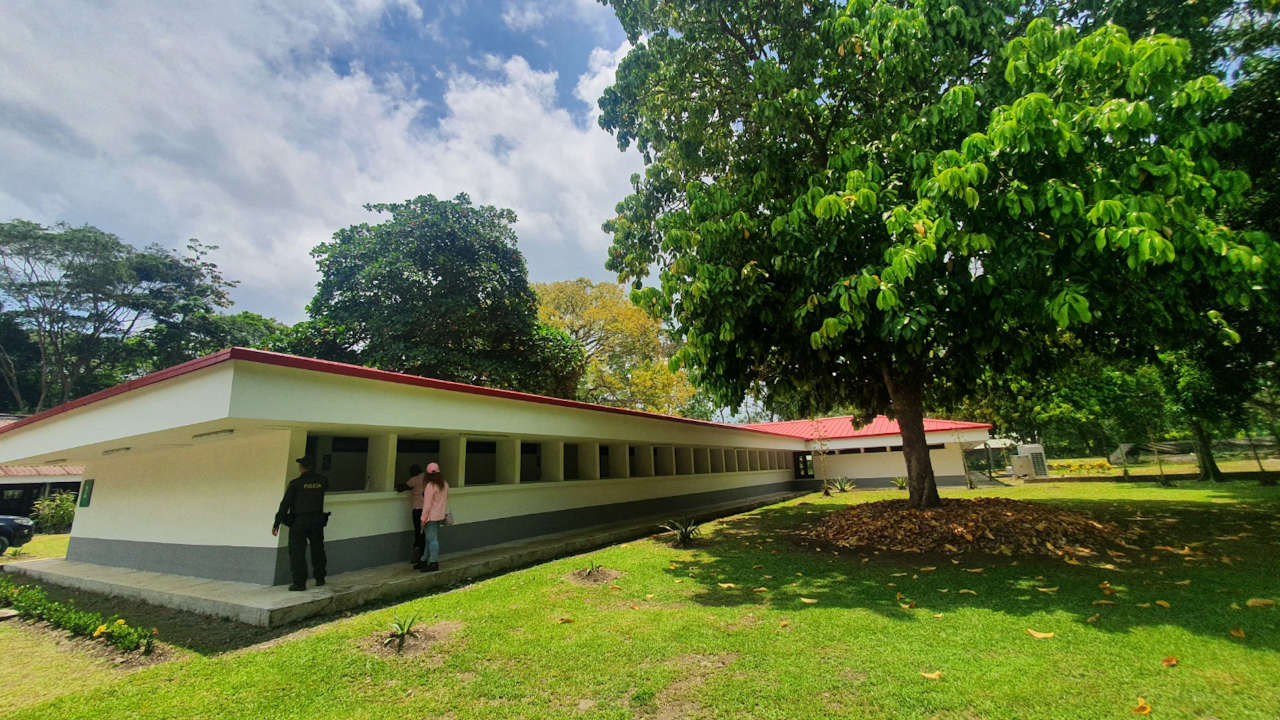Bosque Tulenapa
