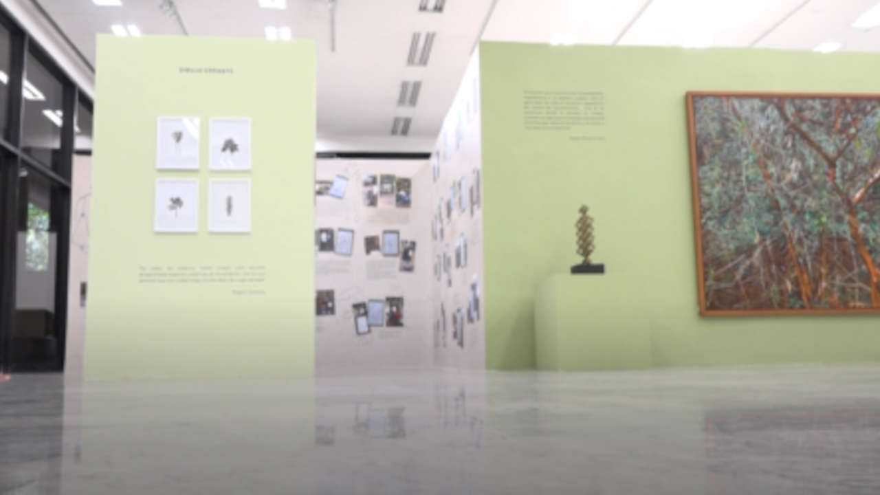 sala