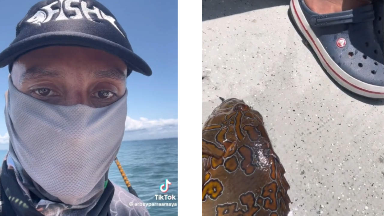 ¿Será un agüero? Un hombre se sacó un pescado con números