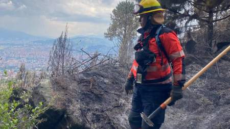 ¡Atención! Se controla el incendio de cobertura vegetal en el Cerro El Picacho