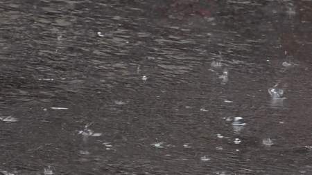 Fuertes lluvias ocasionaron avenida torrencial en el municipio de Anzá Fuertes lluvias ocasionaron avenida torrencial en el municipio de Anzá