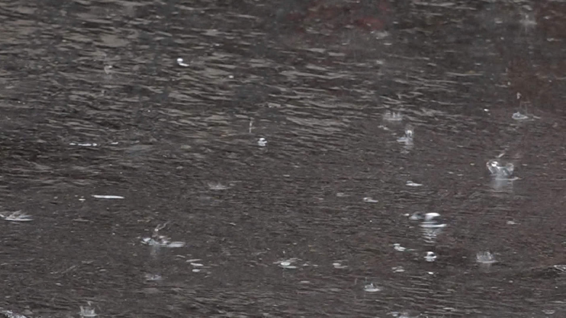 Fuertes lluvias ocasionaron avenida torrencial en el municipio de Anzá Fuertes lluvias ocasionaron avenida torrencial en el municipio de Anzá