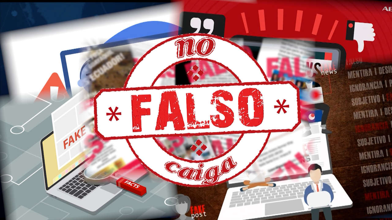 ¿Saquearon nidos de tortugas marinas en Necoclí? ¿Saquearon nidos de tortugas marinas de Necoclí?