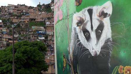 Grupo delincuencial La Agonía, le quiere apostar a la paz