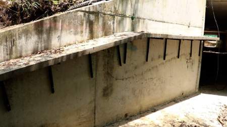 Autopista al Mar 1 tiene 16 pasos de fauna