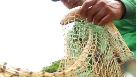 20.000 peces murieron tras las fuertes lluvias