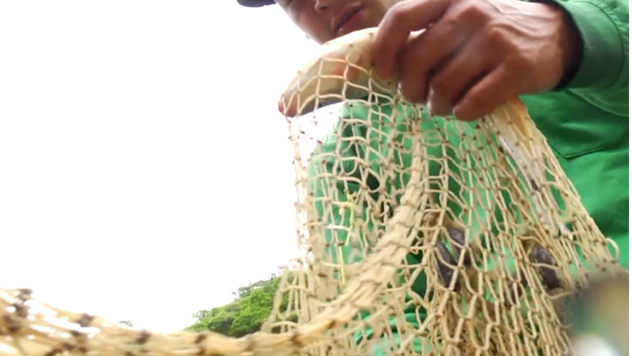 20.000 peces murieron tras las fuertes lluvias