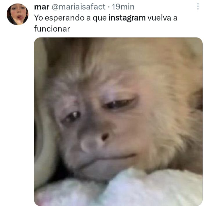 WhatsApp Image 2023 05 21 at 6.39.01 PM