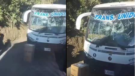Árbol impacta un bus de transporte público en El Retiro