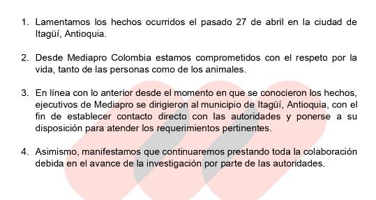 Carro del VAR de fútbol sería responsable de la muerte de un perrito 