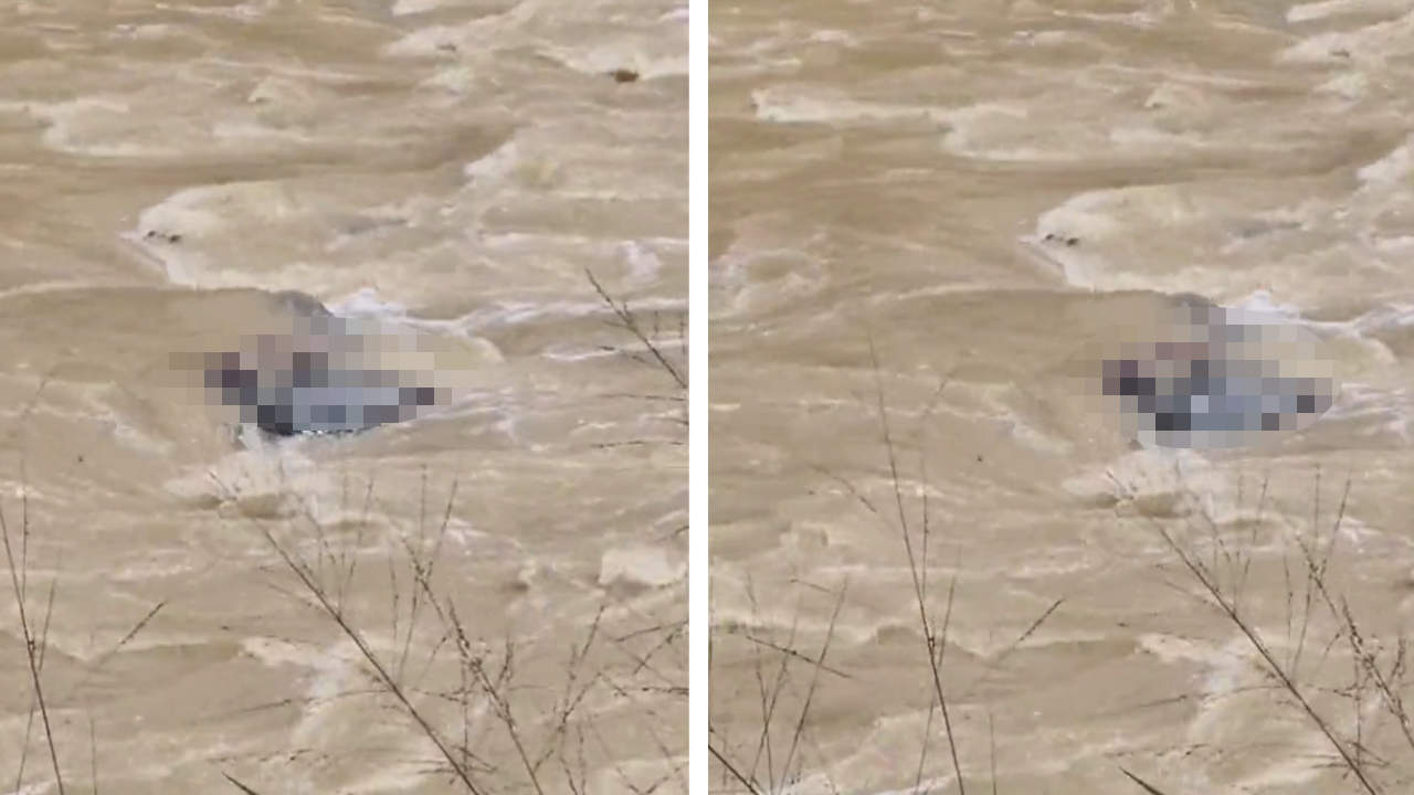 Encuentran un cuerpo sin vida en el río Medellín