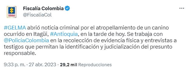 fiscalia perrito 1