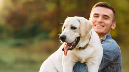 Siga estos sencillos pasos para evitar que su perro ladre constantemente