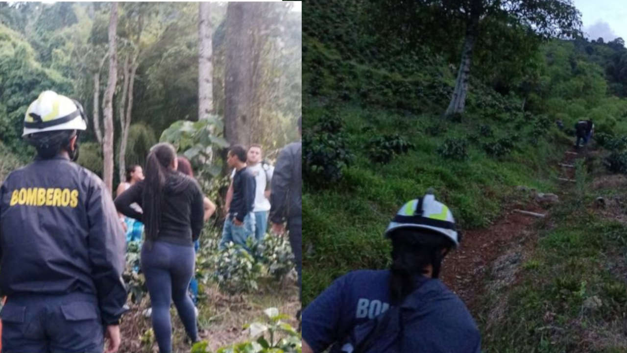 En Fredonia, un hombre falleció tras ser atacado por abejas Fredonia