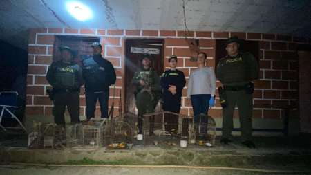 Autoridades recuperaron fauna silvestre en Ebéjico Ebéjico