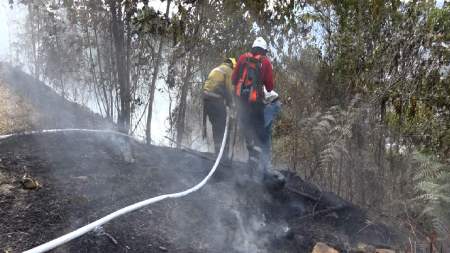 Alerta por incendios forestales, debido a altas temperaturas Alerta por incendios forestales, debido a altas temperaturas
