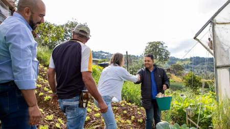 800 familias ingresarán al proyecto huertas caseras-seguridad-alimentaria