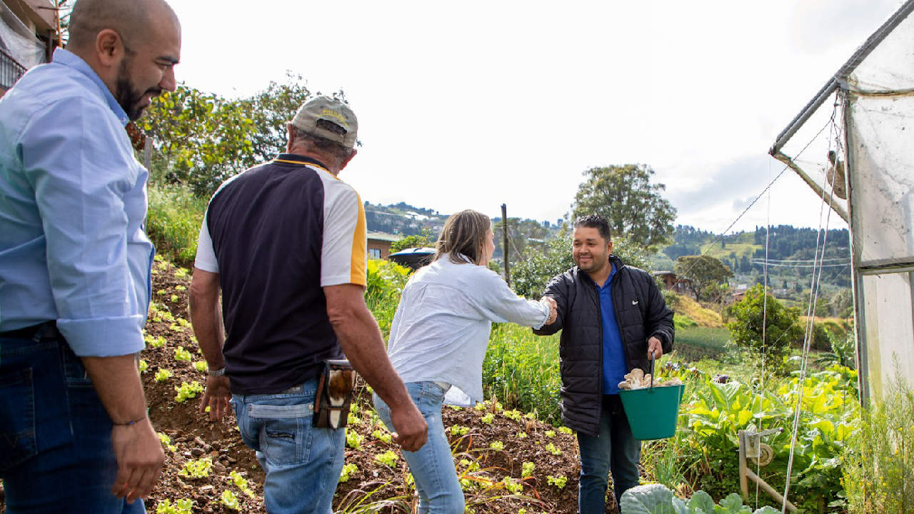 800 familias ingresarán al proyecto huertas caseras-seguridad-alimentaria