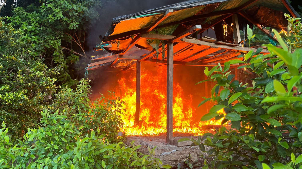 Destruyen cuatro laboratorios en el Bajo Cauca laboratorios