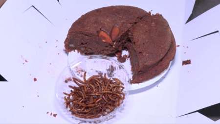 Se busca incluir en recetas la harina de gusanos harina