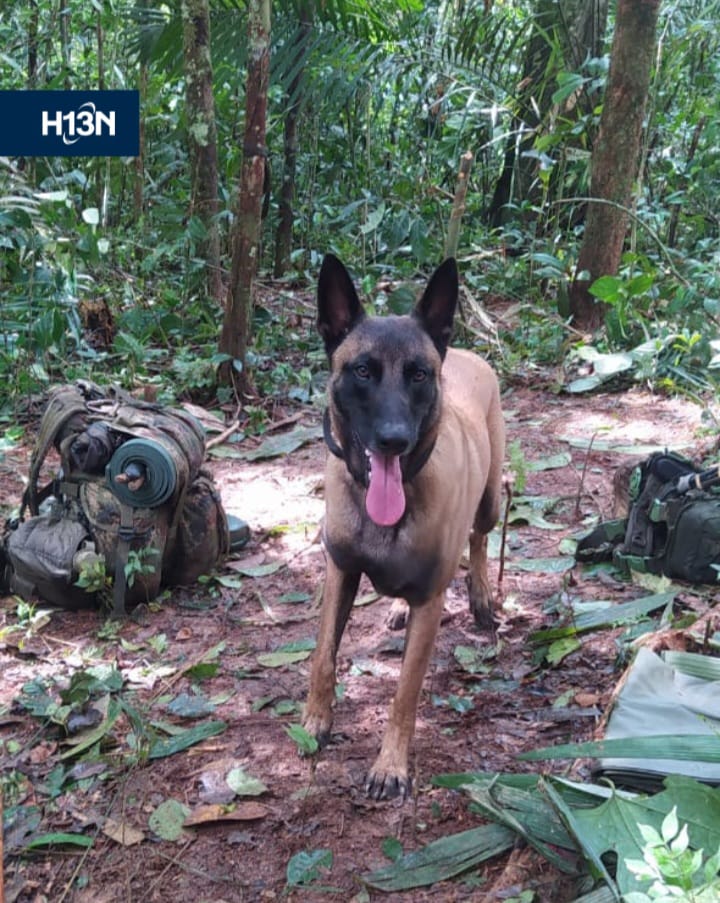 WhatsApp Image 2023 06 09 at 9.06.42 PM