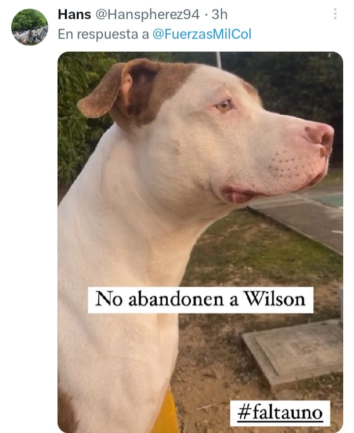 WhatsApp Image 2023 06 10 at 2.08.41 PM