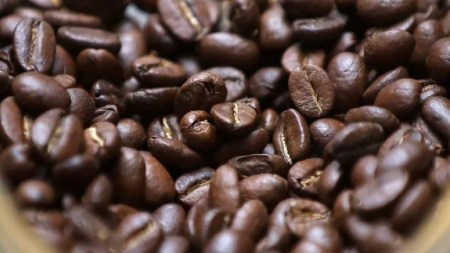 hoy se celebra el dia nacional d