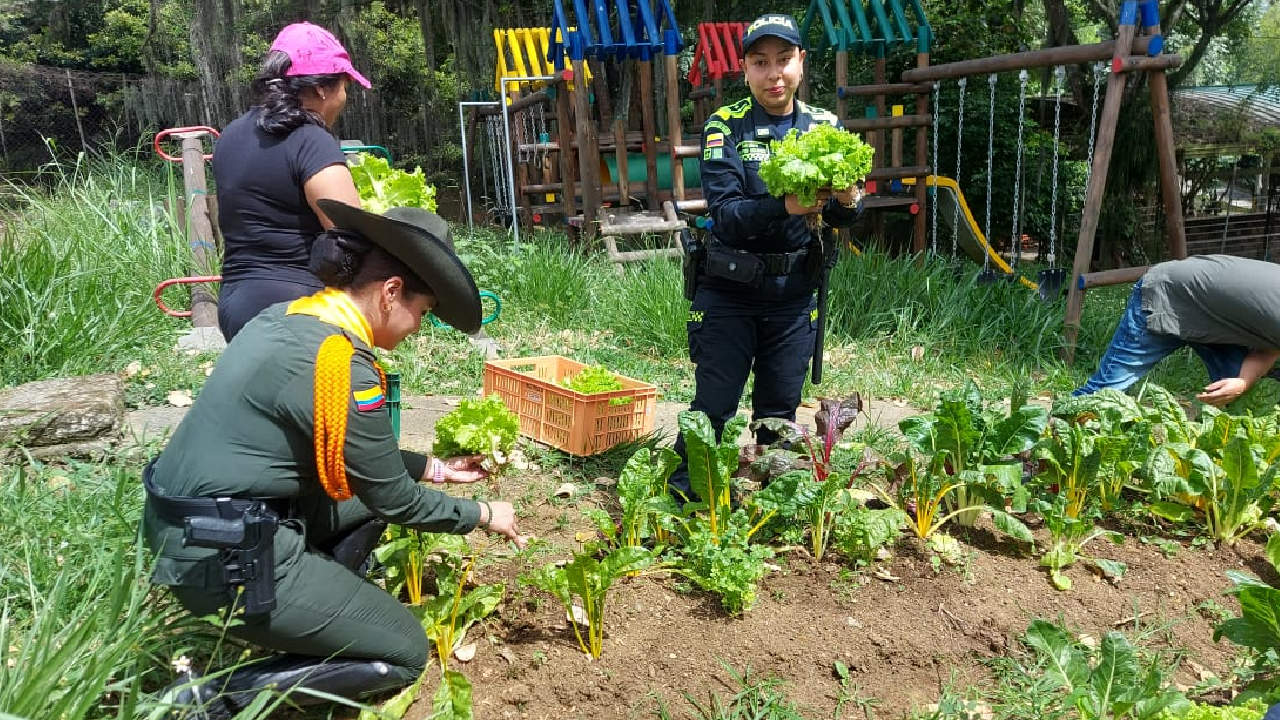 Las “Ecohuertas” llegan al municipio de Girardota