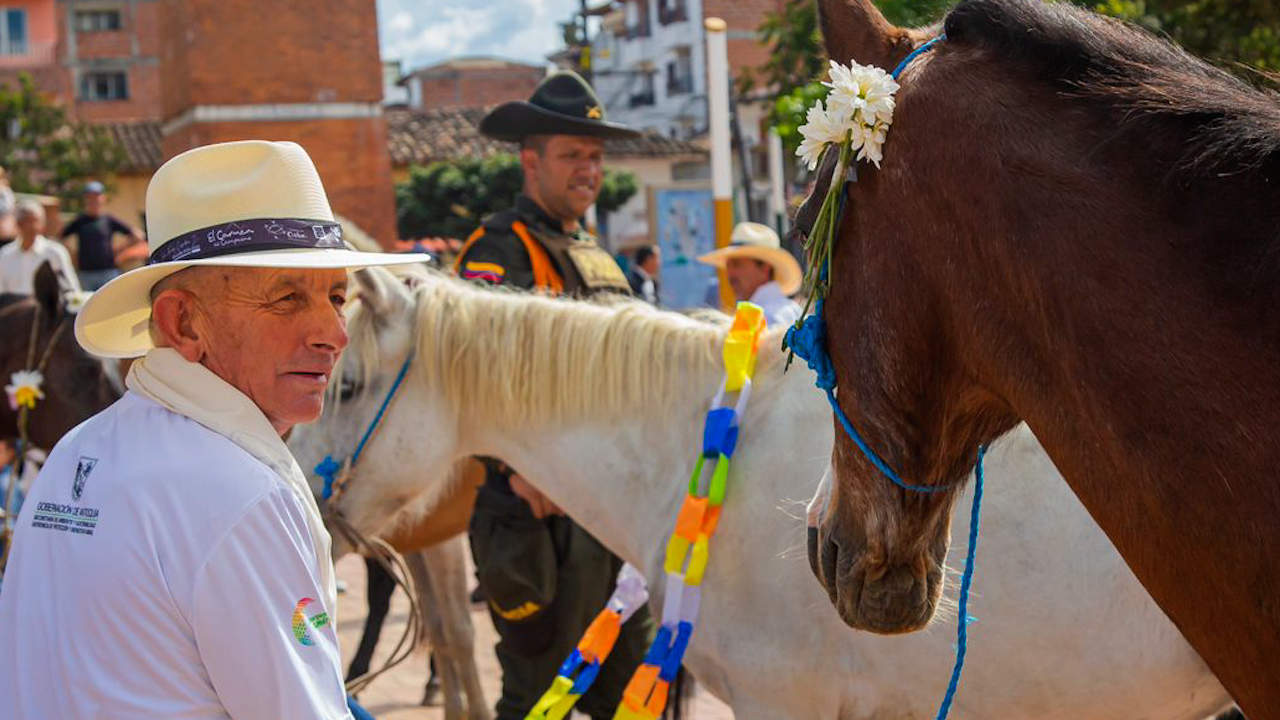 En Antioquia, 700 caballos listos para adopción