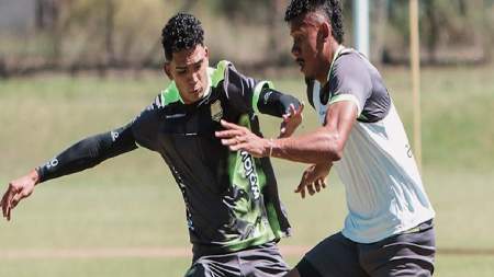 Águilas tiene siete caras nuevas este semestre