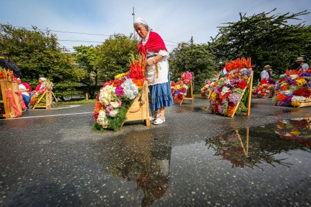 desfile-silleteros-2023-graderías