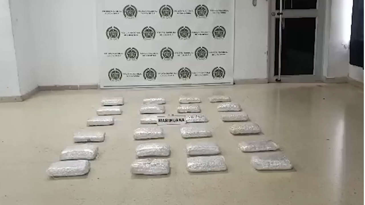 Autoridades incautaron 23 kilogramos de cannabis en la vía La Pintada-Medellín cannabis