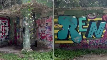 La SAE se mencionó ante el caso del exfutbolista René Higuita