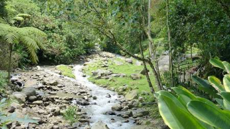 Autoridades investigan retención y robo a caminantes en el Parque Ecológico El Salado de Envigado