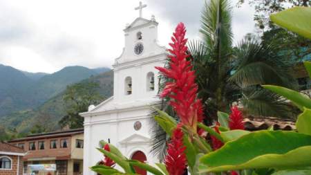 Un adulto mayor fue atacado por abejas en Heliconia, Antioquia
