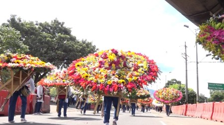 no habra graderias gratuitas en 1 1