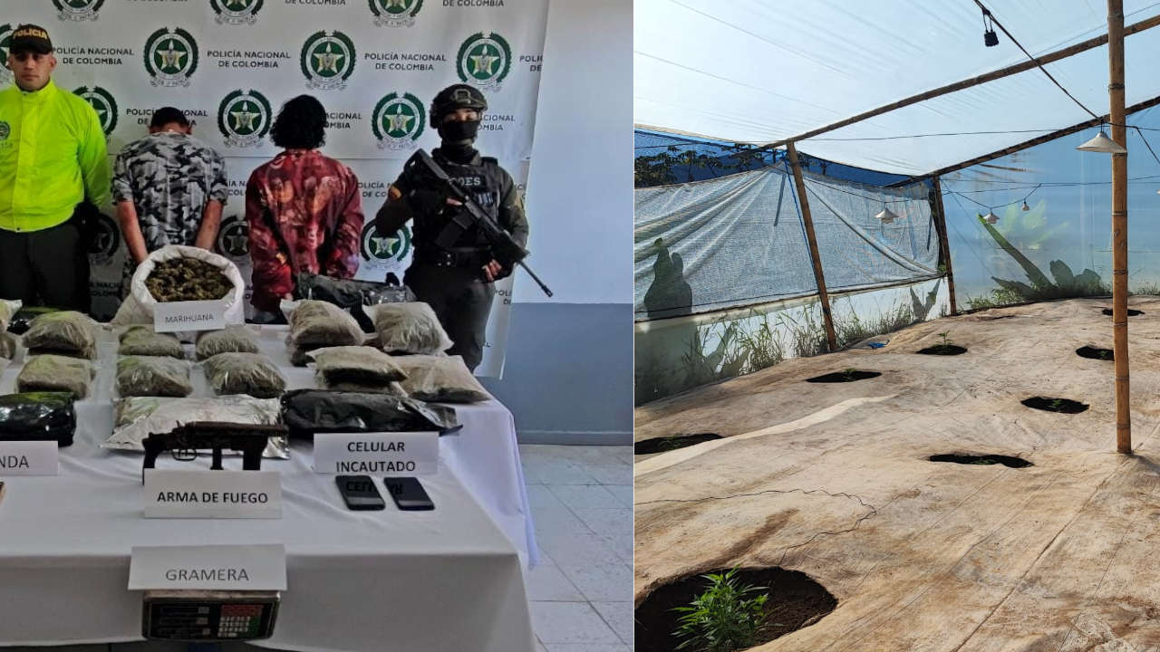 concordia-laboratorio-marihuana