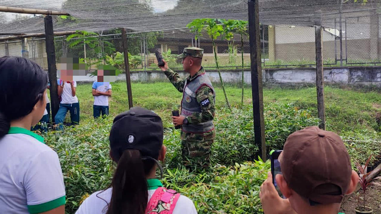 Más de 20 mil plantas sembradas en el Urabá por colegios y el Ejército