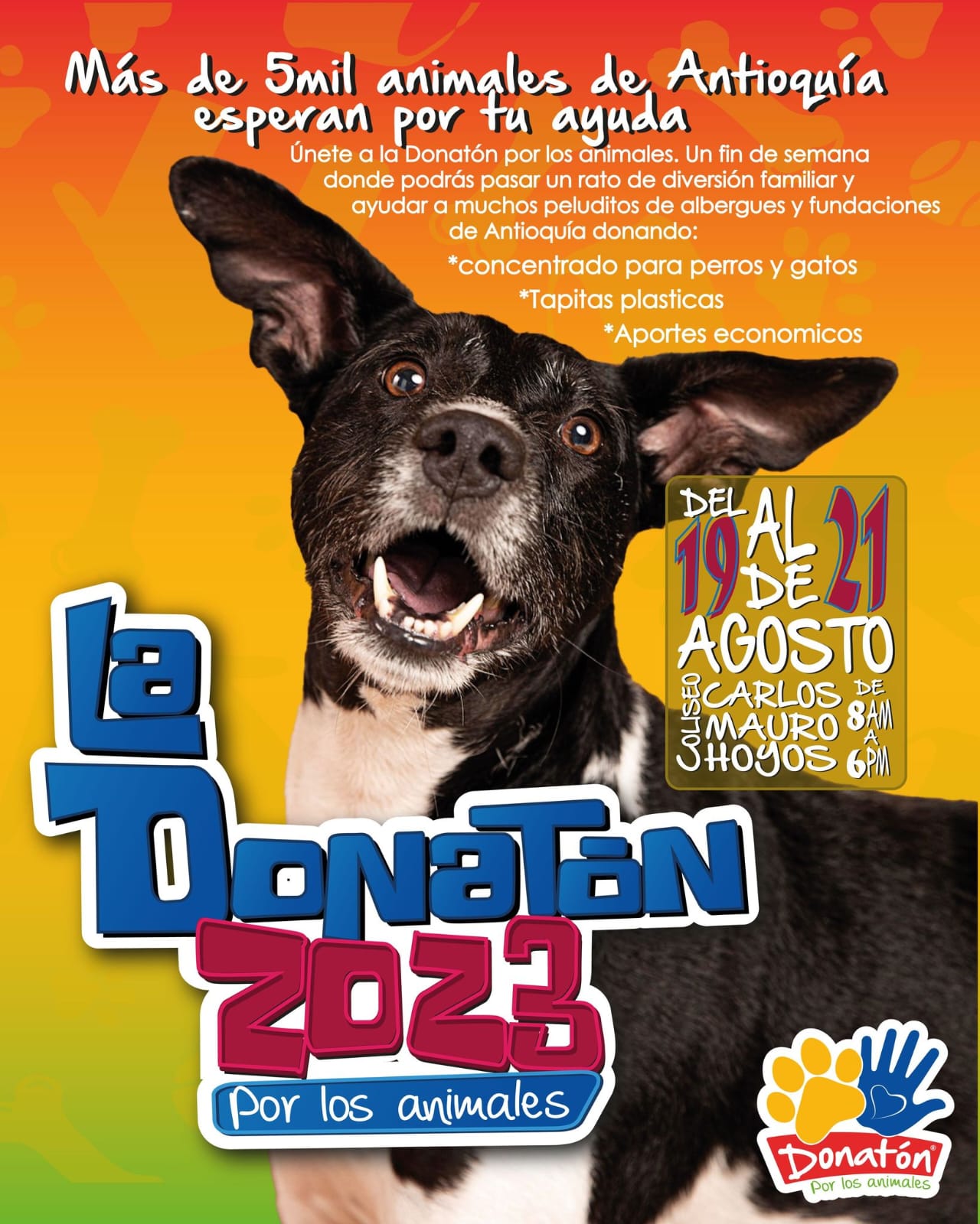 WhatsApp Image 2023 08 18 at 9.25.05 AM