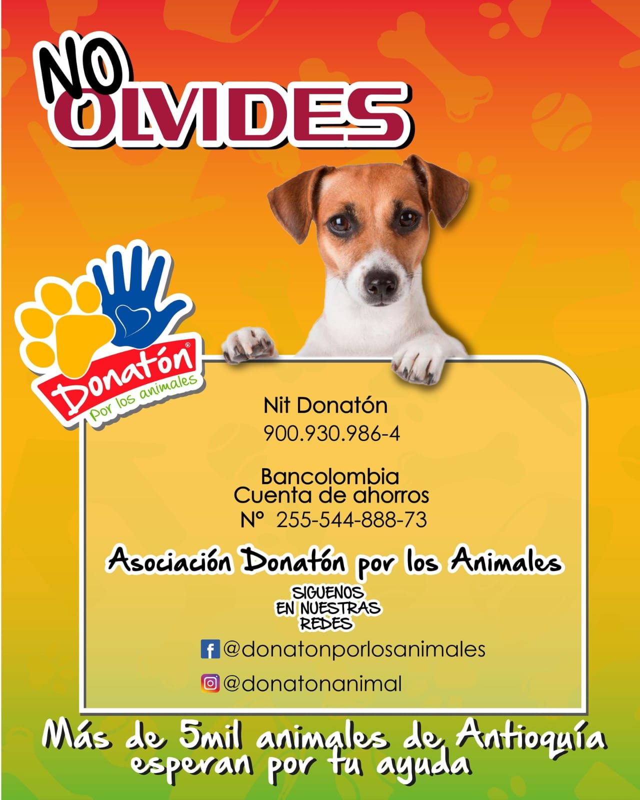 WhatsApp Image 2023 08 18 at 9.27.28 AM