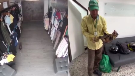 Buenas acciones: autoridades ambientales rescataron una zarigüeya en Envigado