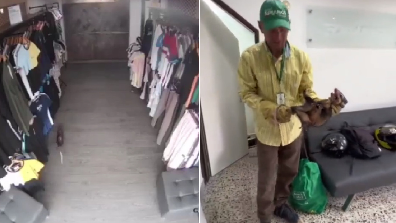 Buenas acciones: autoridades ambientales rescataron una zarigüeya en Envigado
