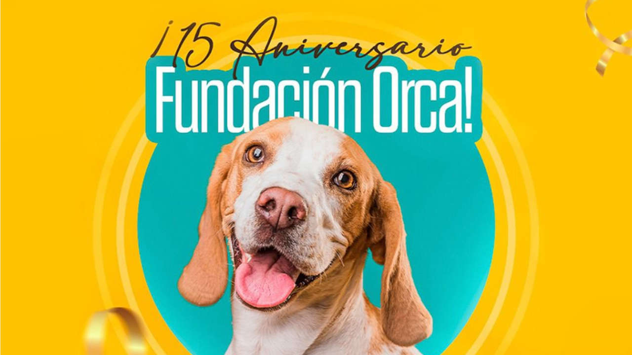 La fundación ORCA celebra sus quince años de labores fundación